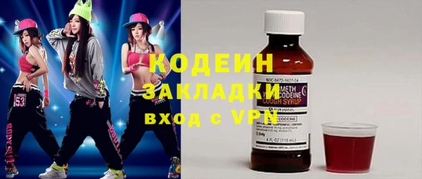 индика Корсаков