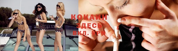 индика Корсаков