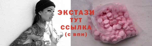 индика Корсаков