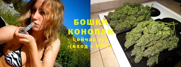 бошки Костерёво