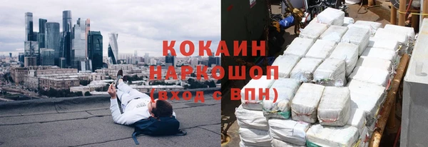 индика Корсаков