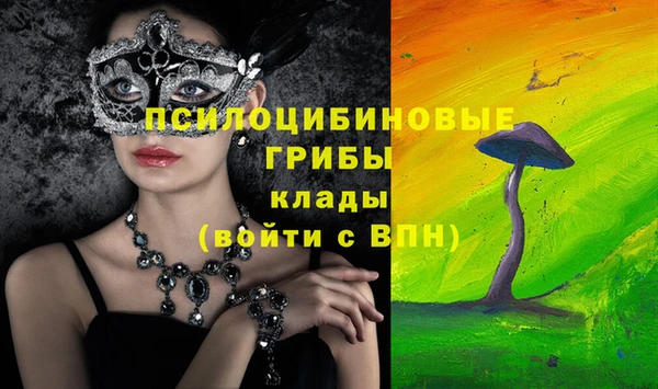 соль курить ск Коряжма