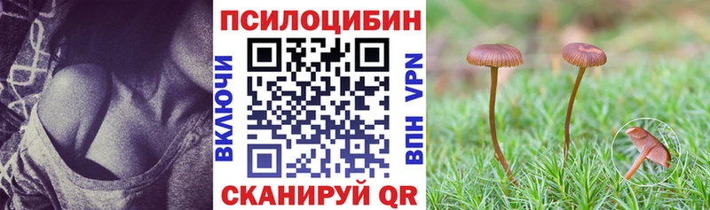 Галлюциногенные грибы Magic Shrooms  закладки  Мензелинск 